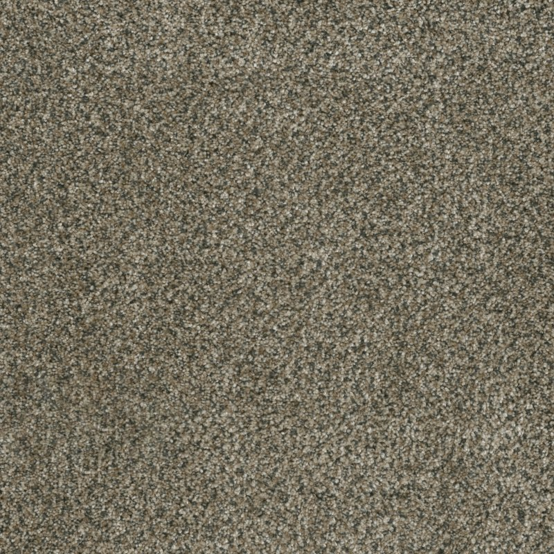 Dream Weaver Carpet - 6240 Brazen I - 497 Feather Soft