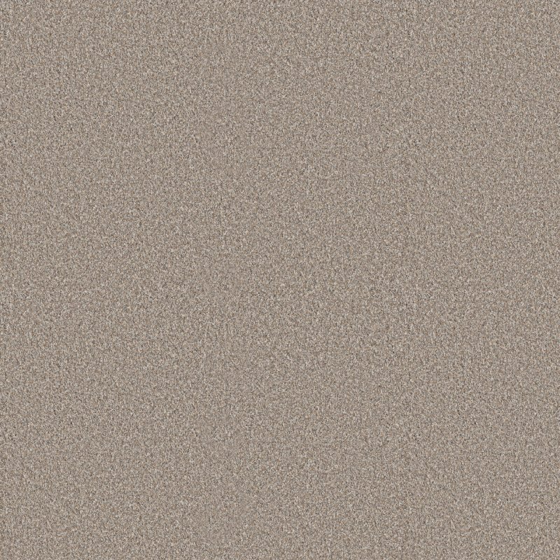 Shaw Carpet - 5E846 Elevated I - 107 Dawn Beige