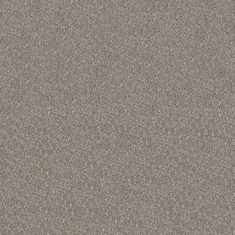 Shaw Carpet - 5E846 Elevated I - 105 Perfection