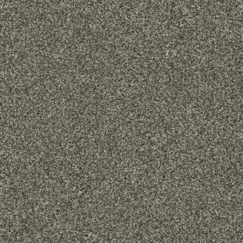 Dream Weaver Carpet - 6240 BRAZEN I - 197 Millstone