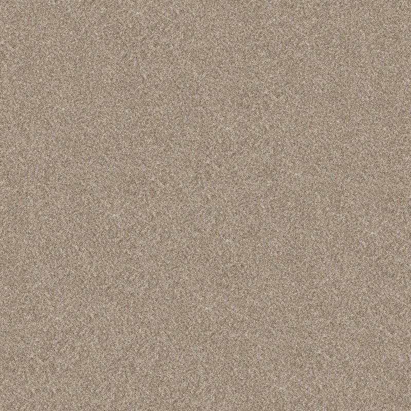 Shaw Carpet - 5E846 Elevated I - 106 Soft Sand